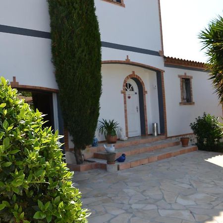 Maison Les Agapanthes Villeneuve-lès-Béziers Exteriör bild